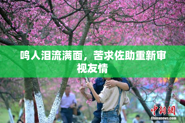 鸣人泪流满面，苦求佐助重新审视友情