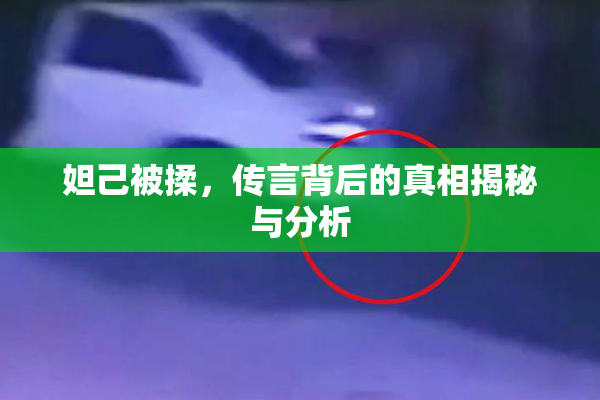 妲己被揉，传言背后的真相揭秘与分析