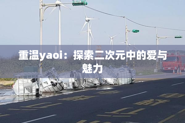 重温yaoi：探索二次元中的爱与魅力