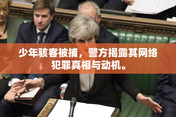 少年骇客被捕，警方揭露其网络犯罪真相与动机。