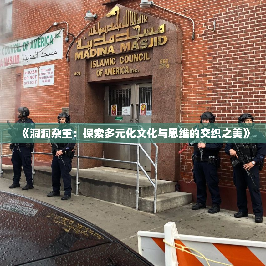 《洞洞杂重：探索多元化文化与思维的交织之美》