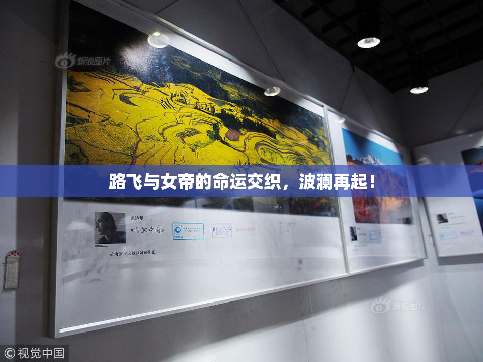 路飞与女帝的命运交织，波澜再起！