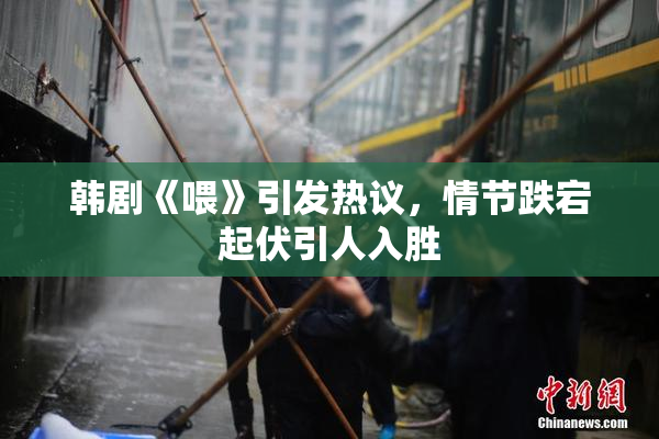 韩剧《喂》引发热议，情节跌宕起伏引人入胜