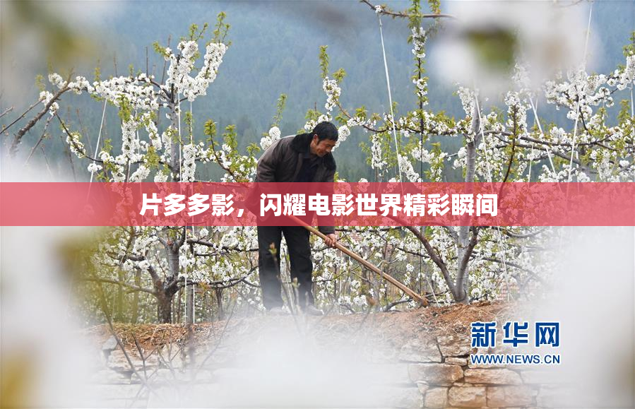 片多多影，闪耀电影世界精彩瞬间