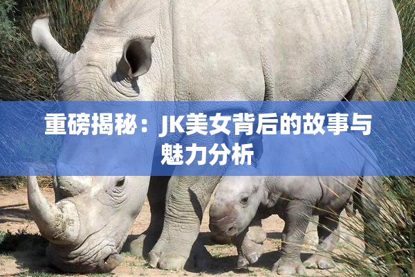 重磅揭秘：JK美女背后的故事与魅力分析