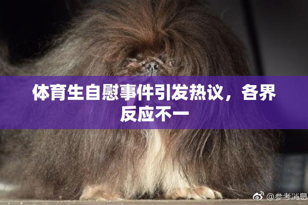 体育生自慰事件引发热议，各界反应不一