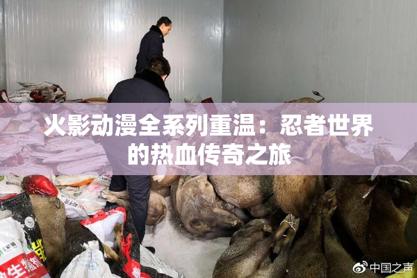火影动漫全系列重温：忍者世界的热血传奇之旅