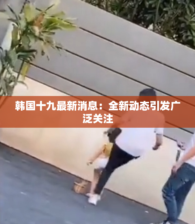 韩国十九最新消息：全新动态引发广泛关注