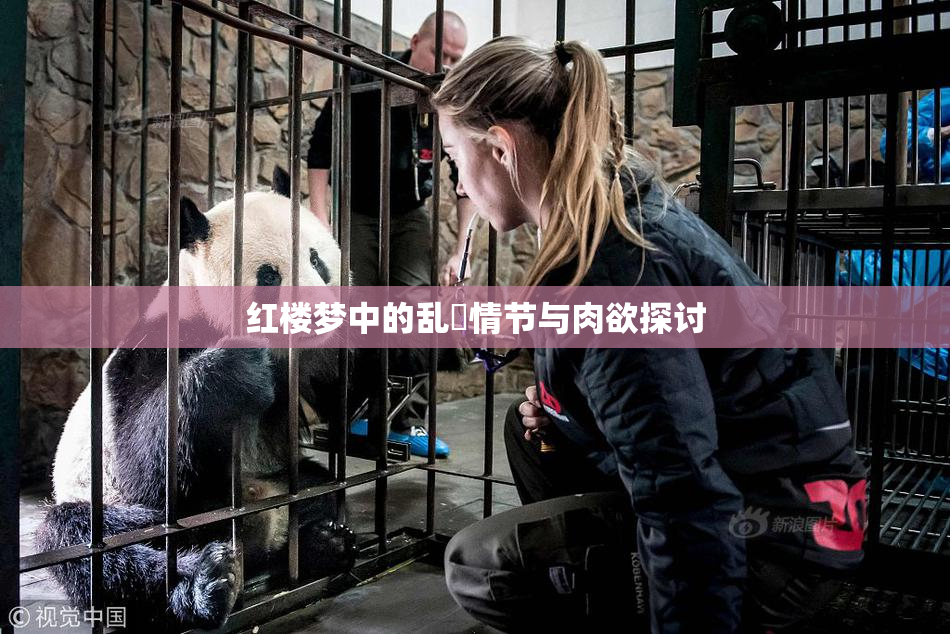 红楼梦中的乱婬情节与肉欲探讨