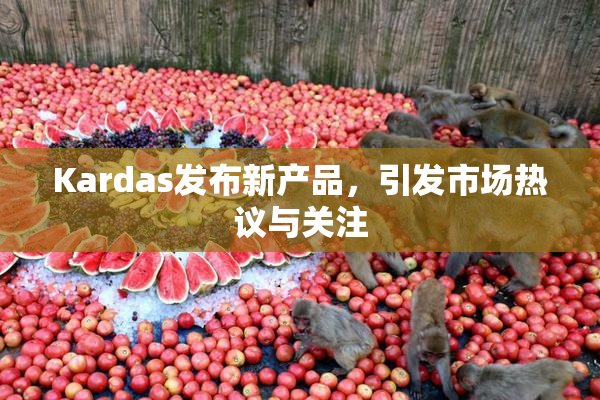 Kardas发布新产品，引发市场热议与关注