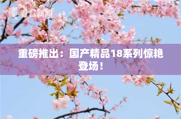 重磅推出：国产精品18系列惊艳登场！