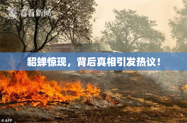 貂蝉惊现，背后真相引发热议！