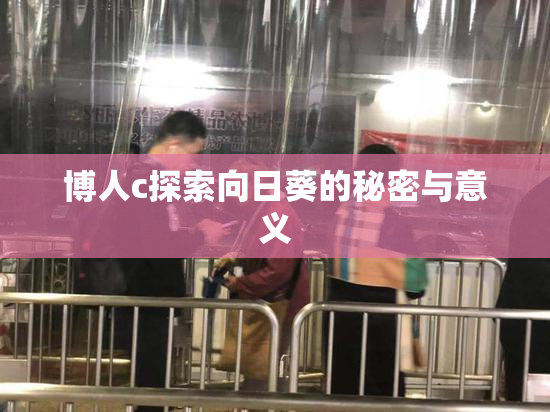 博人c探索向日葵的秘密与意义