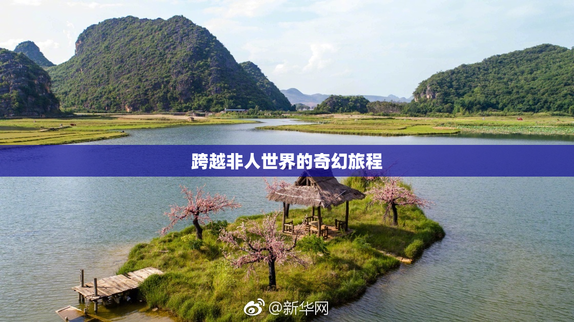 跨越非人世界的奇幻旅程