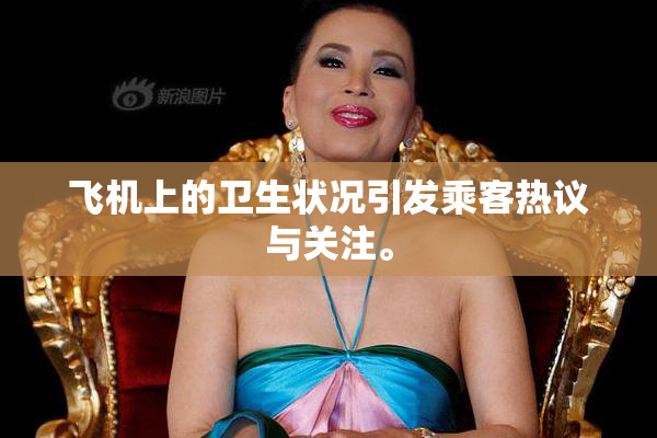 飞机上的卫生状况引发乘客热议与关注。