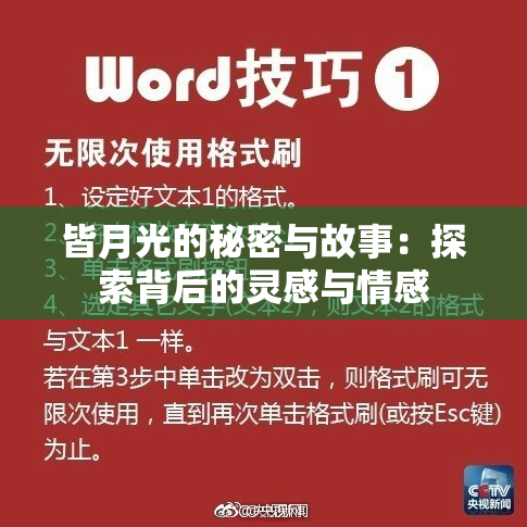 皆月光的秘密与故事：探索背后的灵感与情感