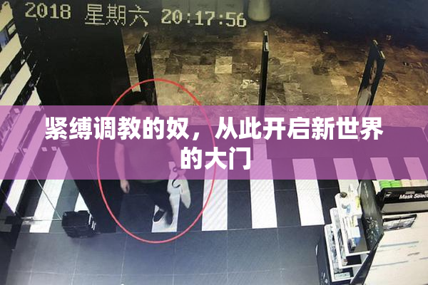 紧缚调教的奴，从此开启新世界的大门