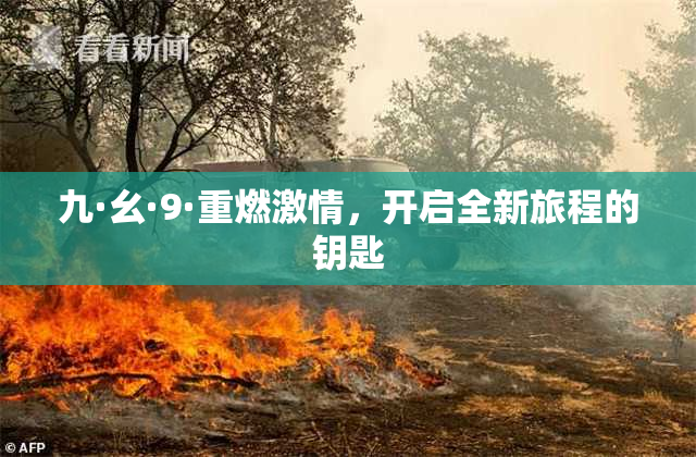 九·幺·9·重燃激情，开启全新旅程的钥匙