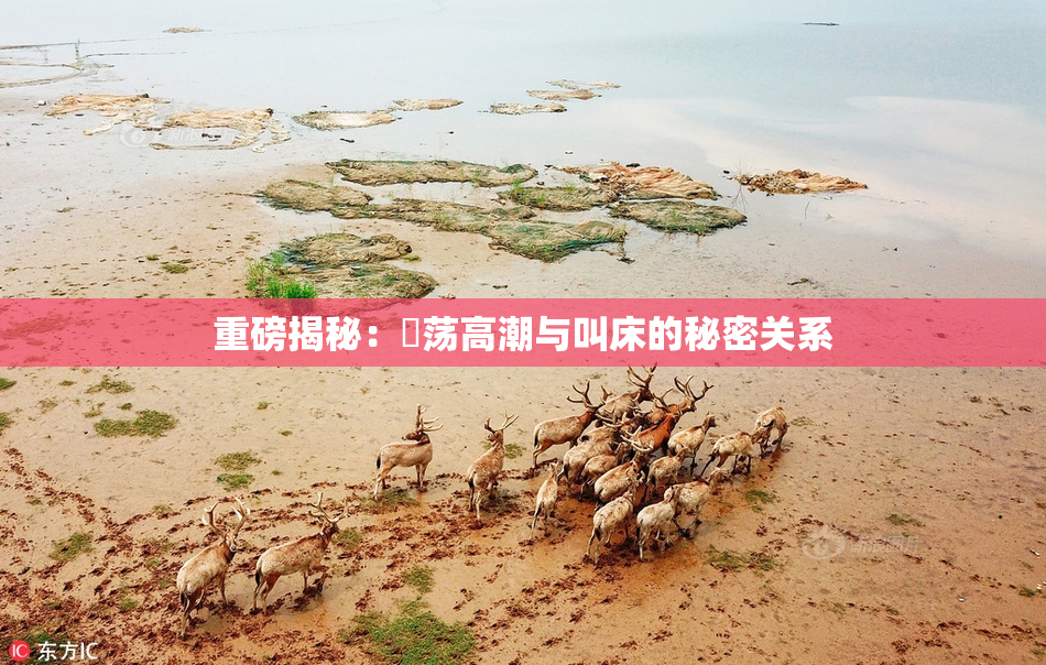 重磅揭秘：婬荡高潮与叫床的秘密关系