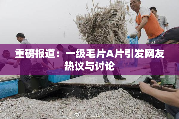 重磅报道：一级毛片A片引发网友热议与讨论