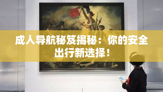 成人导航秘笈揭秘：你的安全出行新选择！