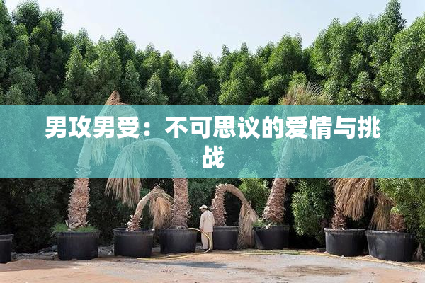 男攻男受：不可思议的爱情与挑战