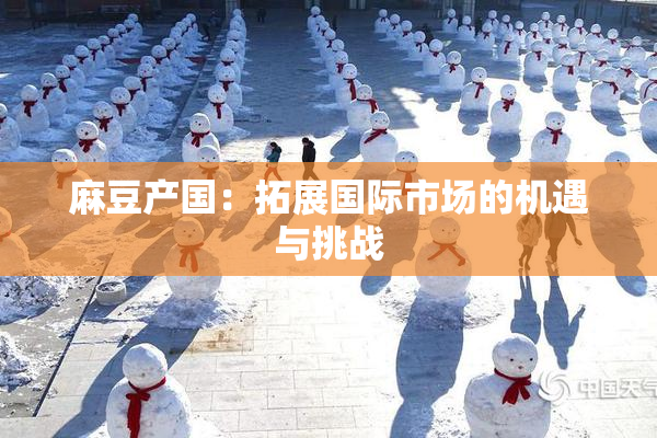 麻豆产国：拓展国际市场的机遇与挑战