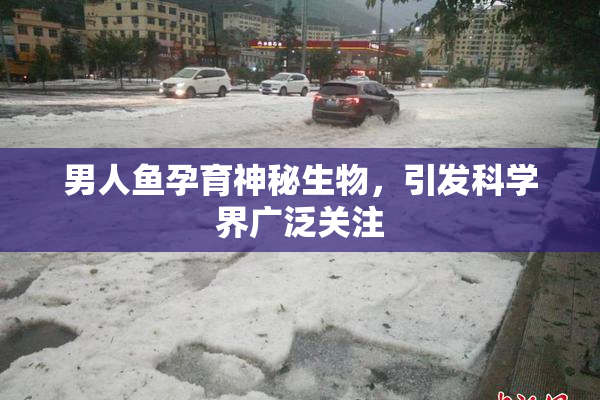 男人鱼孕育神秘生物，引发科学界广泛关注