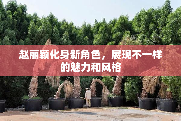 赵丽颖化身新角色，展现不一样的魅力和风格