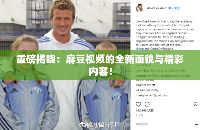 重磅揭晓：麻豆视频的全新面貌与精彩内容！