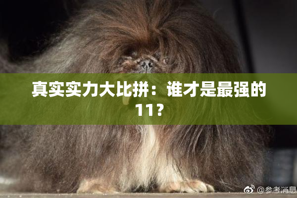 真实实力大比拼：谁才是最强的11？