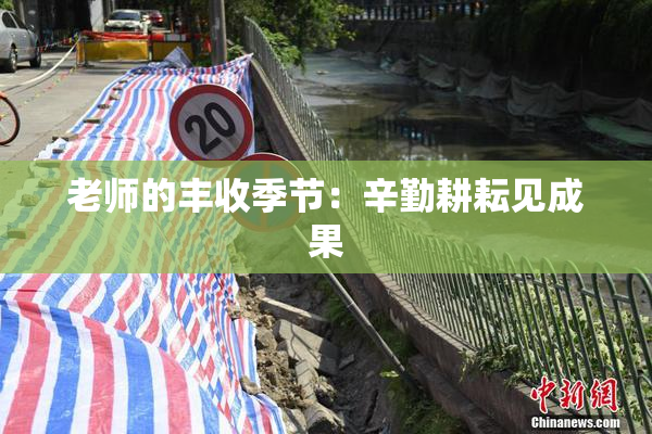 老师的丰收季节：辛勤耕耘见成果