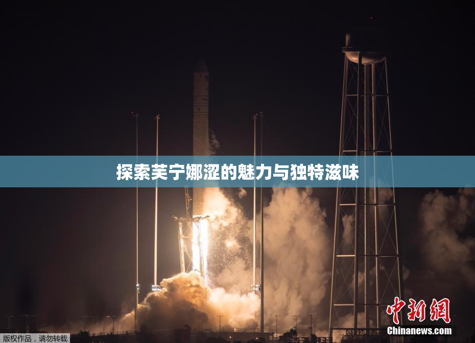探索芙宁娜涩的魅力与独特滋味