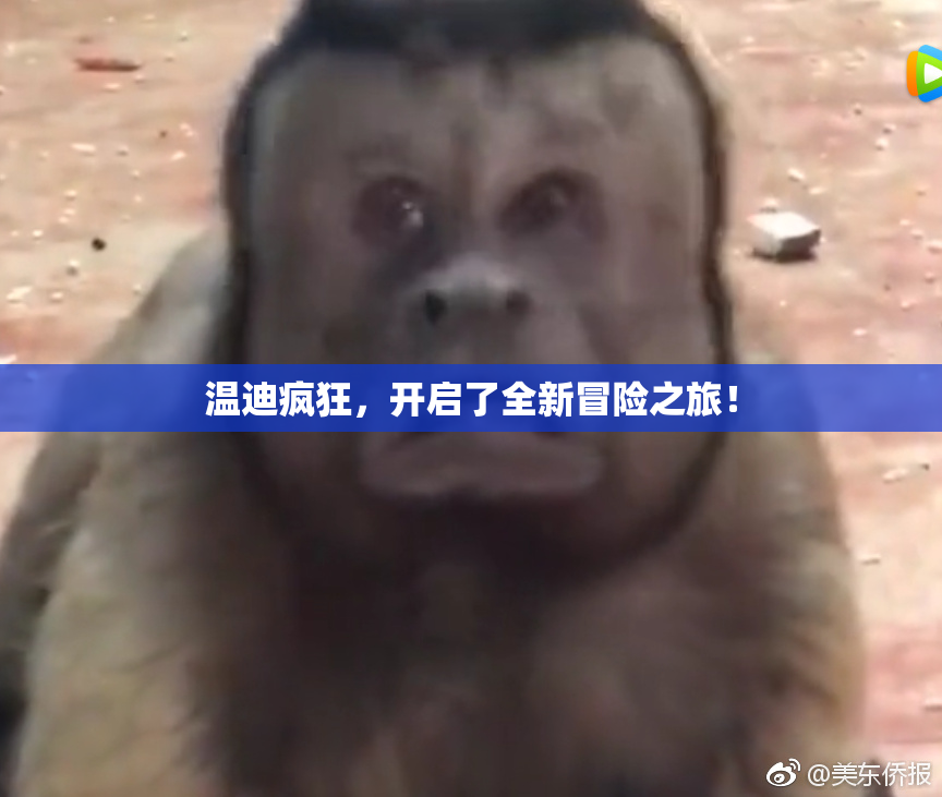 温迪疯狂，开启了全新冒险之旅！
