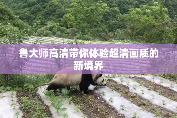 鲁大师高清带你体验超清画质的新境界