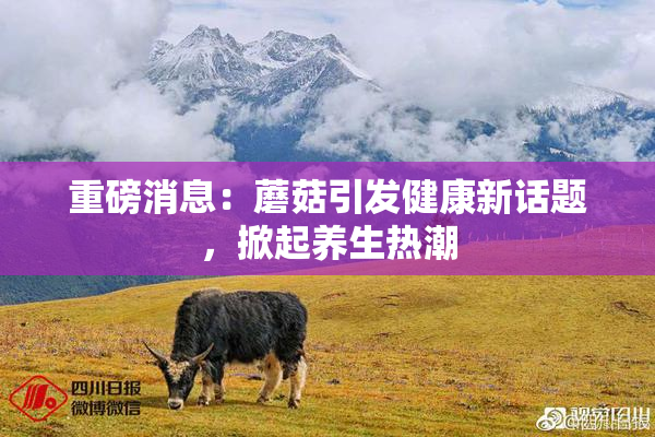 重磅消息：蘑菇引发健康新话题，掀起养生热潮
