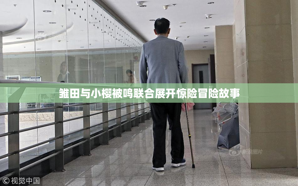 雏田与小樱被鸣联合展开惊险冒险故事