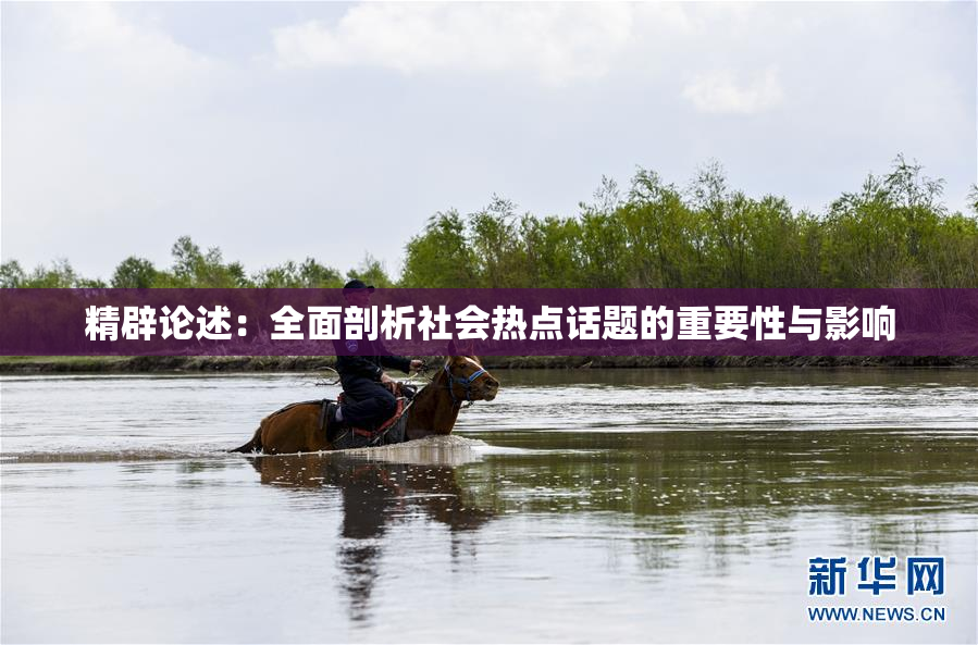 精辟论述：全面剖析社会热点话题的重要性与影响