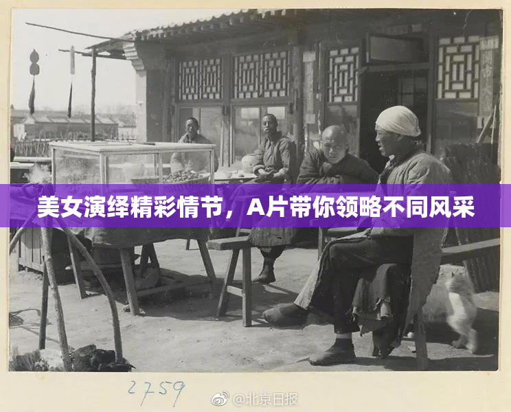 美女演绎精彩情节，A片带你领略不同风采