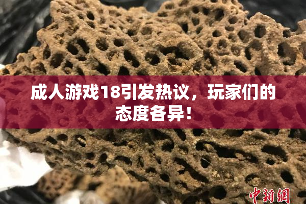成人游戏18引发热议，玩家们的态度各异！