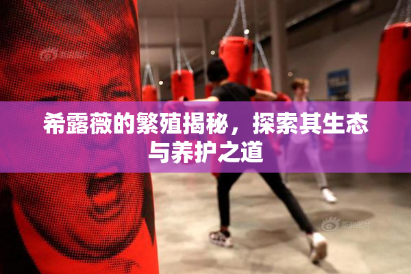 希露薇的繁殖揭秘，探索其生态与养护之道