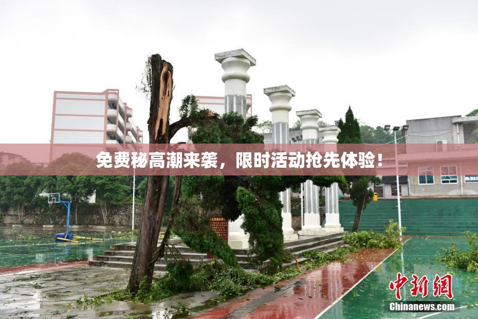免费秘高潮来袭，限时活动抢先体验！