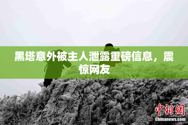 黑塔意外被主人泄露重磅信息，震惊网友