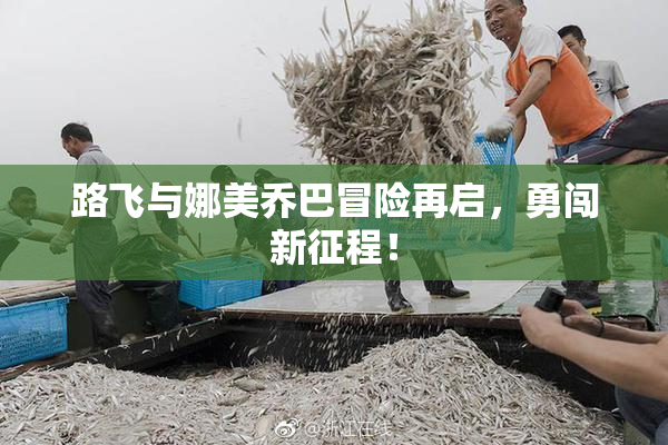 路飞与娜美乔巴冒险再启，勇闯新征程！