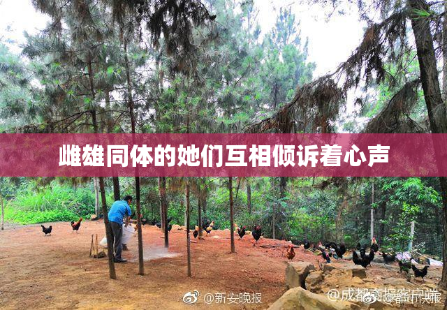 雌雄同体的她们互相倾诉着心声