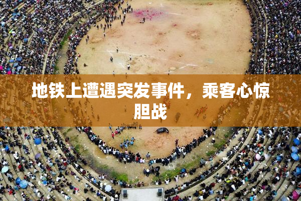 地铁上遭遇突发事件，乘客心惊胆战