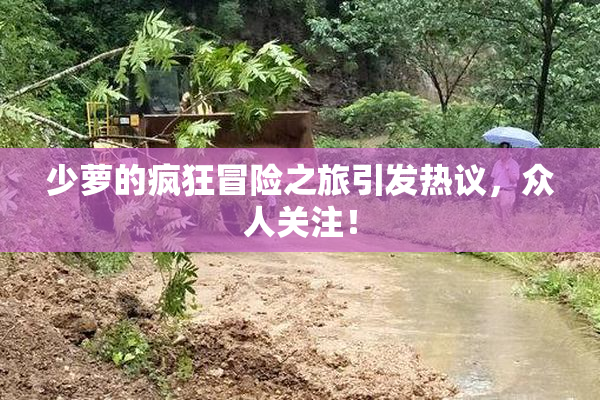 少萝的疯狂冒险之旅引发热议，众人关注！