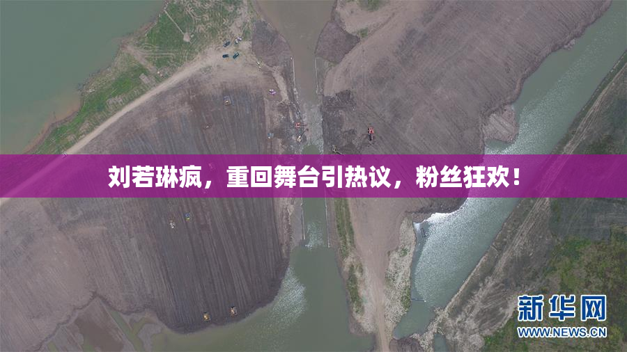 刘若琳疯，重回舞台引热议，粉丝狂欢！