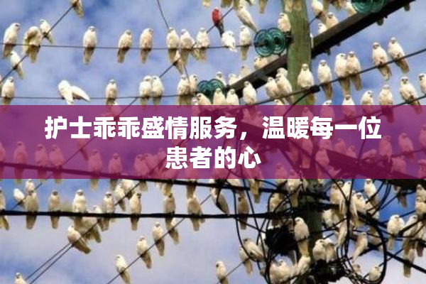 护士乖乖盛情服务，温暖每一位患者的心