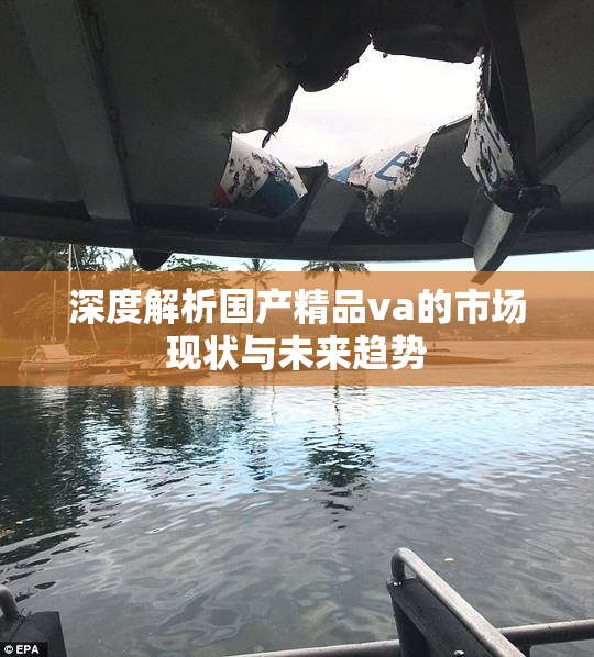 深度解析国产精品va的市场现状与未来趋势